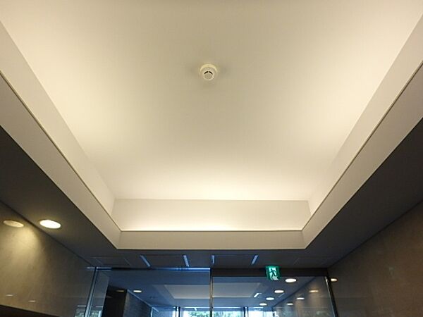 画像10:立体的なエントランス天井は高級感があります。