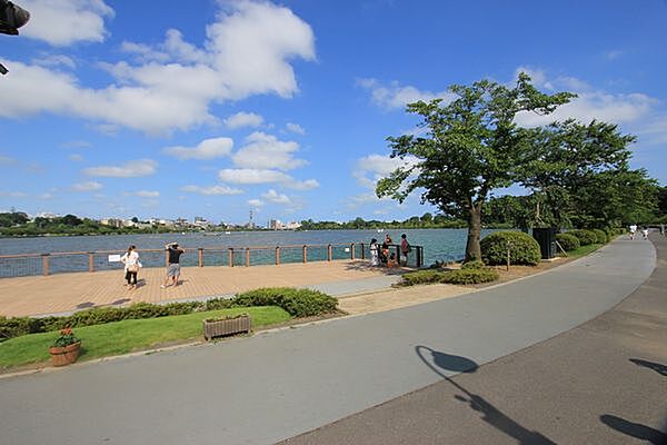 ヴェルドゥワイエ千波湖 オリーブ館 202号室｜茨城県水戸市千波町(賃貸マンション2DK・2階・50.40㎡)の写真 その12