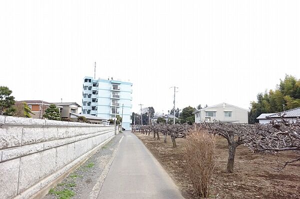 ローズマリング　A 201号室｜茨城県水戸市見川(賃貸アパート1LDK・2階・46.09㎡)の写真 その10