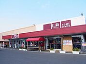 ジョイフル山新