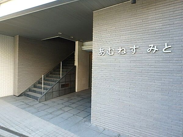 あむねす・ みと