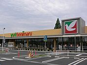 ヨークベニマル東大島店