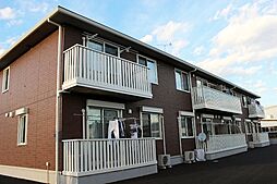 プリムローズ B