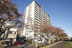 プラウド水戸桜川