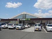 セイブ
