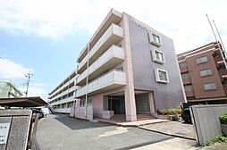 SHIRAUME TERRACE B 408号室