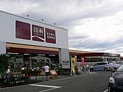 ジョイフル山新田彦店
