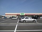 いばらきコープ水戸店