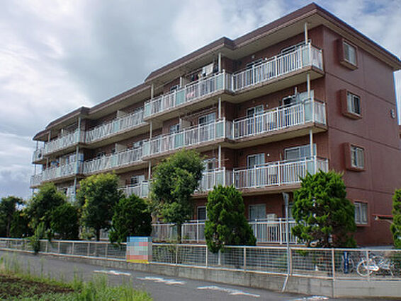 笹野ロイヤルハイツB_その他_0