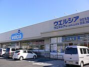 ウェルシアひたちなか田彦店