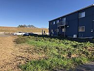 茨城県水戸市根本：物件画像