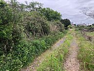 茨城県水戸市平須町：物件画像