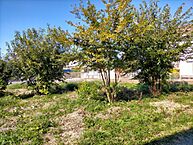 茨城県石岡市東大橋：物件画像