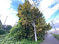 茨城県水戸市東野町：物件画像