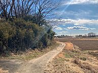 茨城県水戸市加倉井町：物件画像