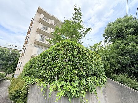 完成物件だから、引っ越したあとの配置や動線も分かりやすい。 