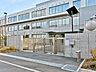 周辺：ひばりが丘中学校（1200m）