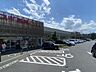 周辺：スギドラッグ フレスポ桶川店（540m）