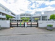 さいたま市立大宮八幡中学校（1100m）