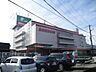 周辺：島忠ホームセンター大宮本店（260m）