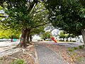 領家中央公園（...