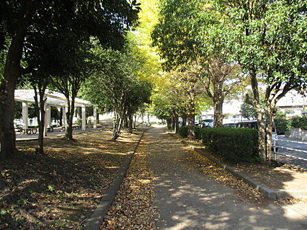 松原公園(240m)