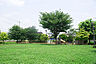周辺：蔵屋敷東公園（300m）