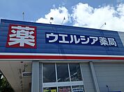 ウエルシア 500m