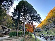 鳴滝森林公園 オートキャンプ場/野鳥観察小屋 5750m