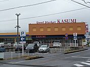 KASUMI（カスミ） 東大沼店（580m）
