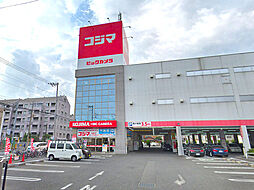 [周辺] コジマ×ビックカメラ 横浜大口店まで1056m、大口駅東側にあるおなじみの家電量販店です。