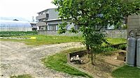長野県飯田市鼎下山：物件画像