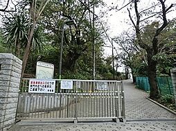 [周辺] 横浜市立浜中学校まで623m