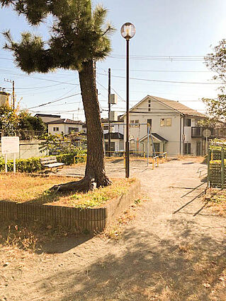 目の前に藤沢市...