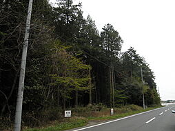 物件画像 佐才中峯 山林