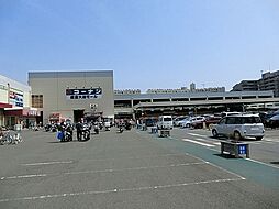 [周辺] ホームセンターコーナン鎌倉大船店まで181m