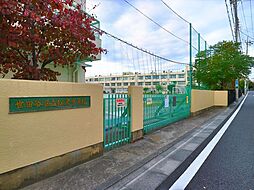 [周辺] 世田谷区立松沢中学校　約900m