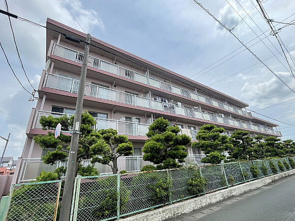静岡県浜松市中央区北島町(賃貸マンション2LDK・2階・54.88㎡)の写真 その1