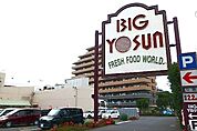 ビッグヨーサン座間ひばりが丘店まで633m
