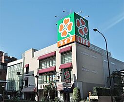 [周辺] ライフ 渋谷東店（154m）