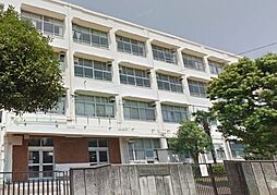 [周辺] 横浜市立泉が丘中学校 565m