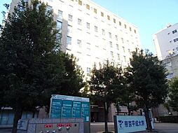 [周辺] 大学「帝京平成大学池袋キャンパスまで1100m」0