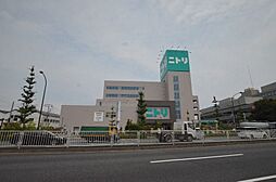 [周辺] ニトリ　大田大鳥居店 1600m