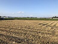 愛知県安城市木戸町為門：物件画像