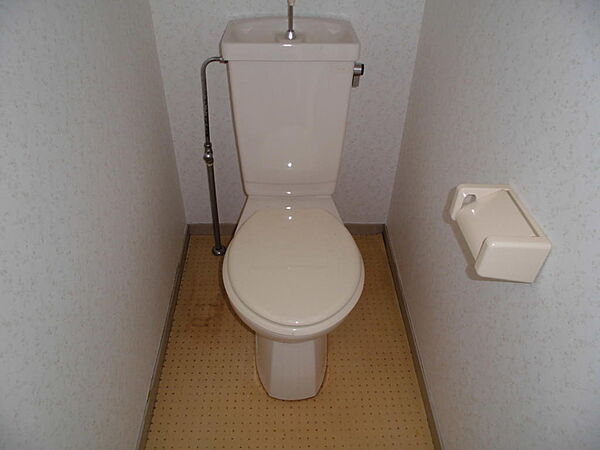 画像7:水洗式トイレ