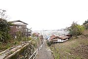 太陽光用地にもおススメです。