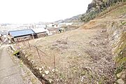 太陽光用地にもおススメです。