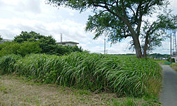 物件画像 早野（ハヤノ）280　土地