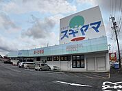 ドラッグスギヤマ扶桑店 1500m