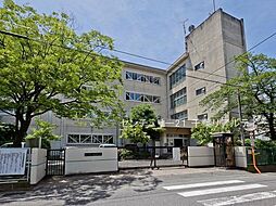 [周辺] 松戸市立第三中学校まで2600m